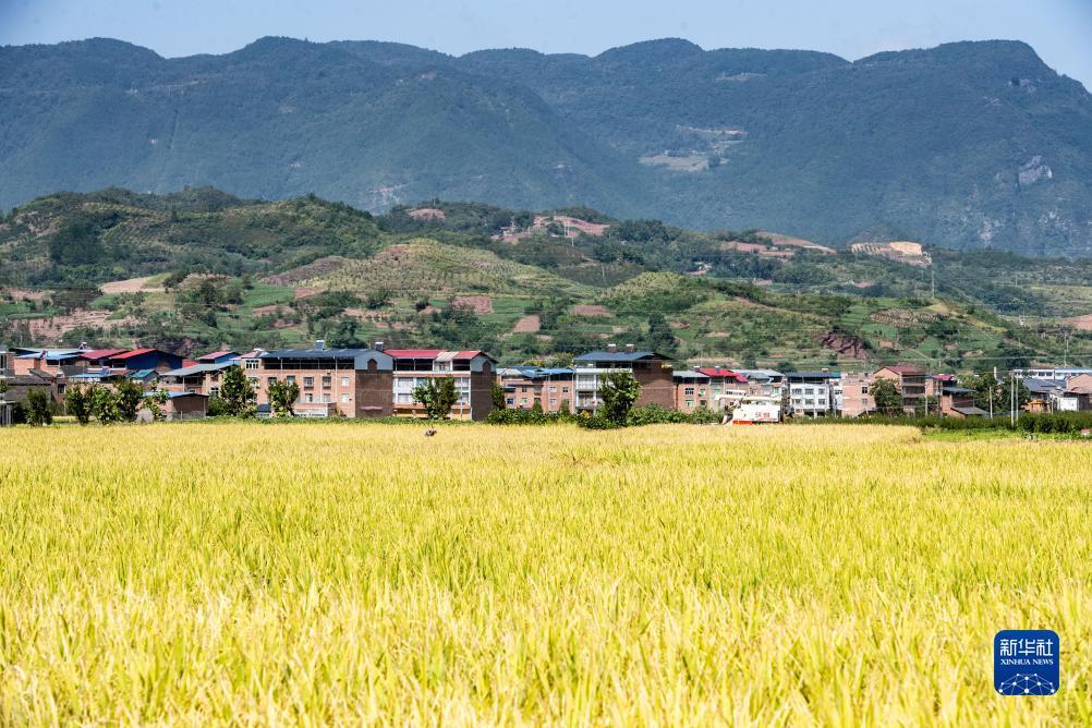 奥门新浦京游戏大平台